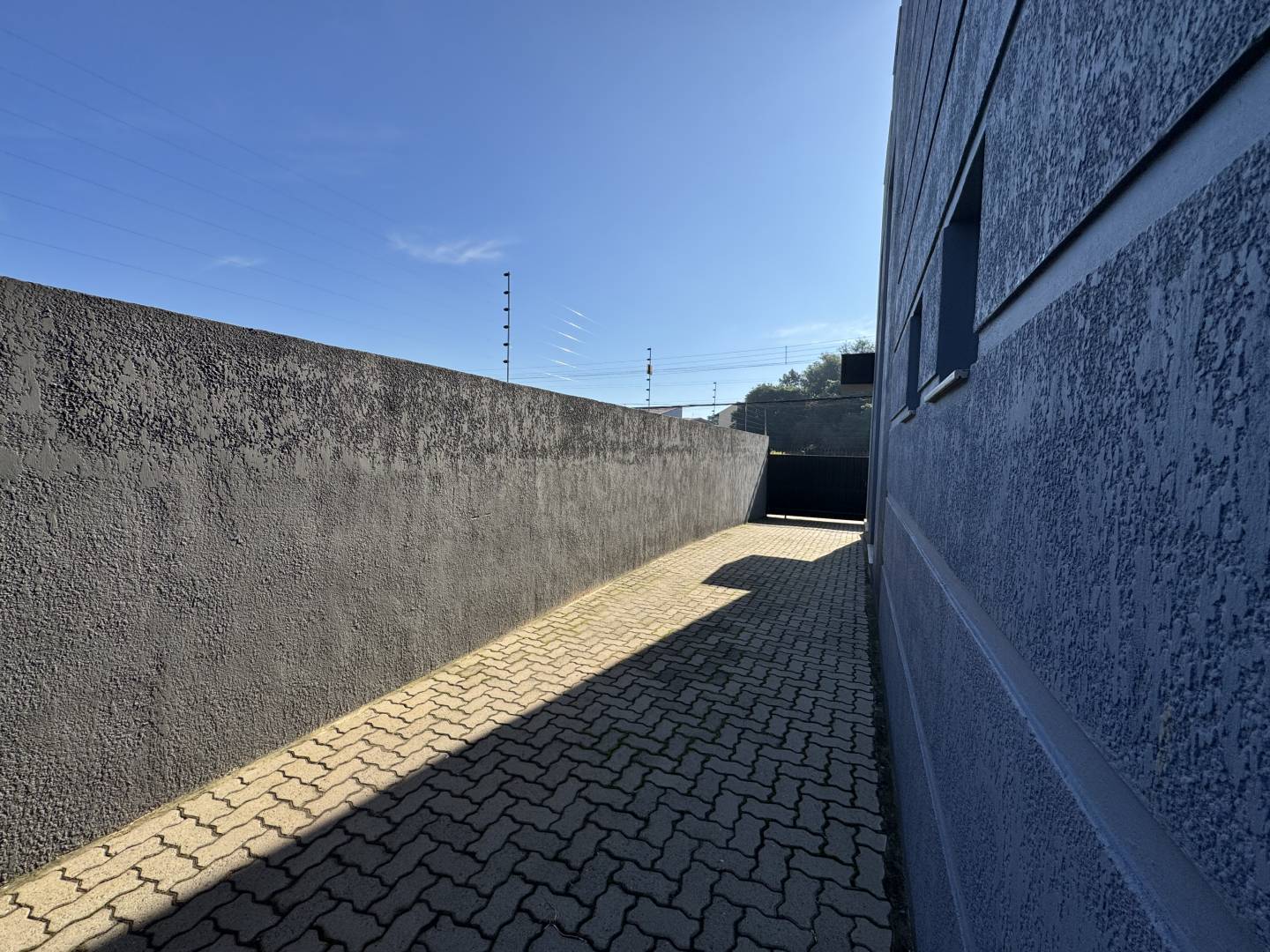 Casa, 3 quartos, 404 m² - Foto 13