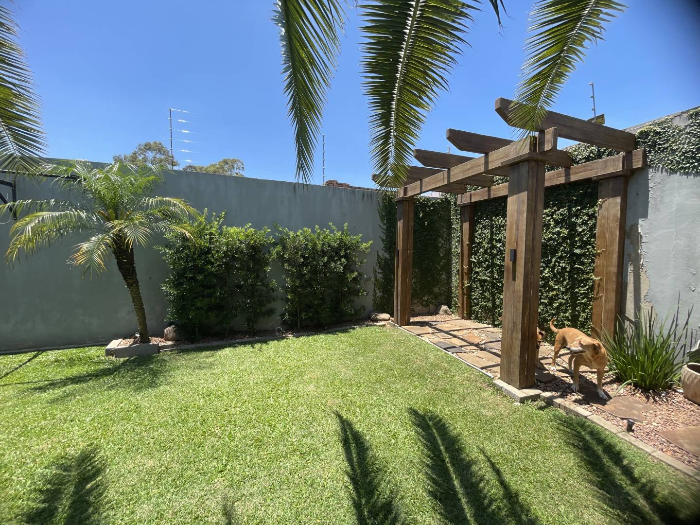 Casa, 2 quartos, 100 m² - Foto 15