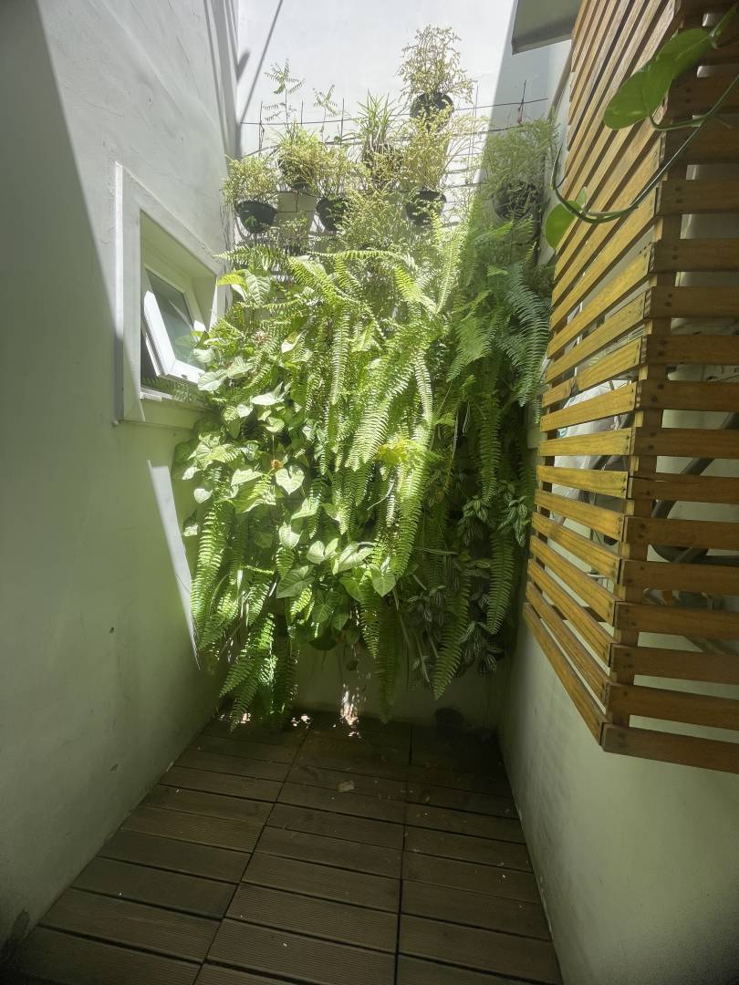 Casa, 2 quartos, 100 m² - Foto 31