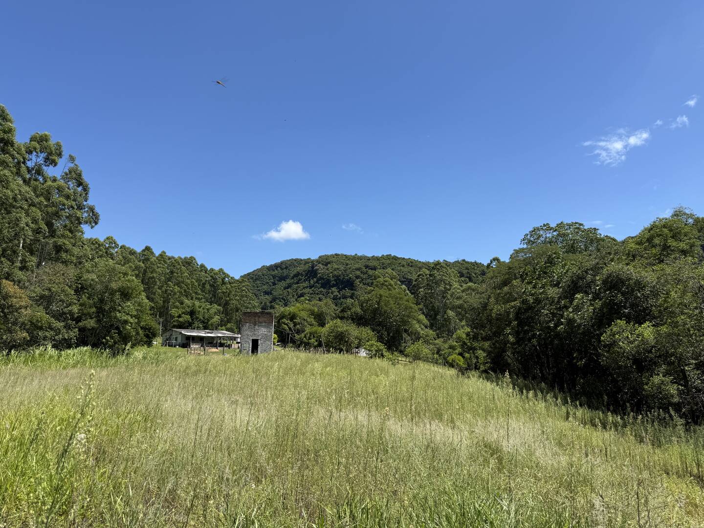 Sítio, 3 quartos, 3 m² - Foto 3