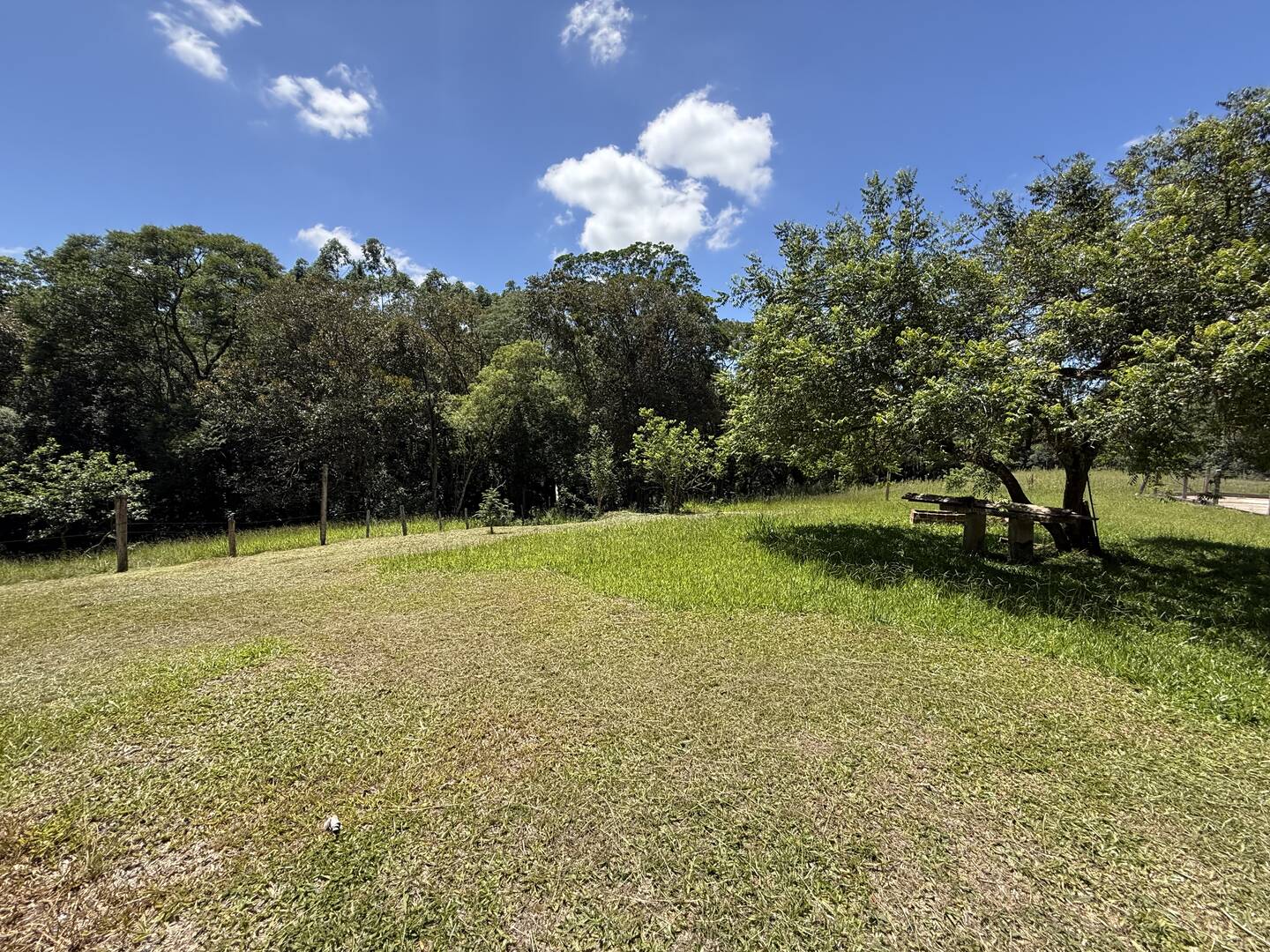 Sítio, 3 quartos, 3 m² - Foto 11