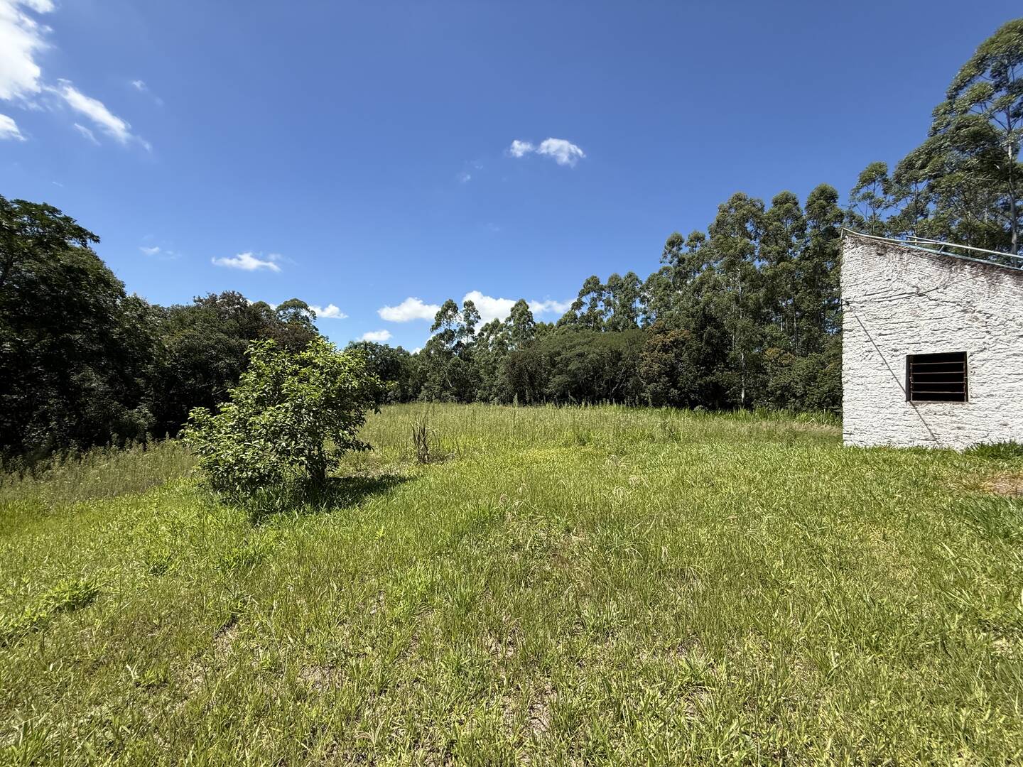 Sítio, 3 quartos, 3 m² - Foto 15