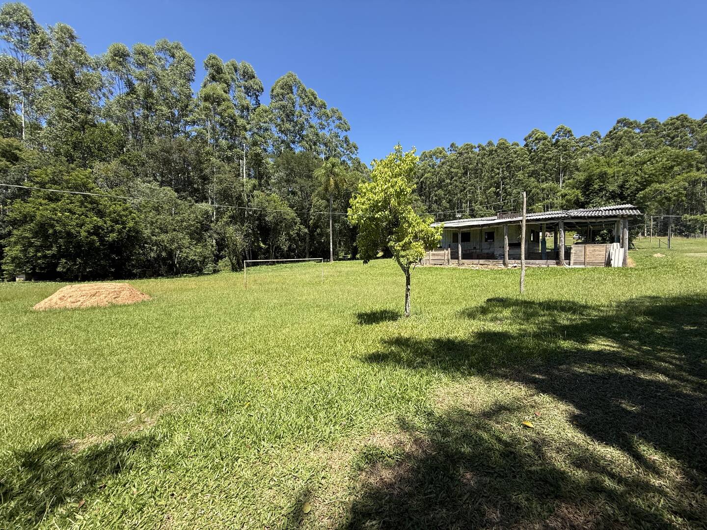 Sítio, 3 quartos, 3 m² - Foto 1