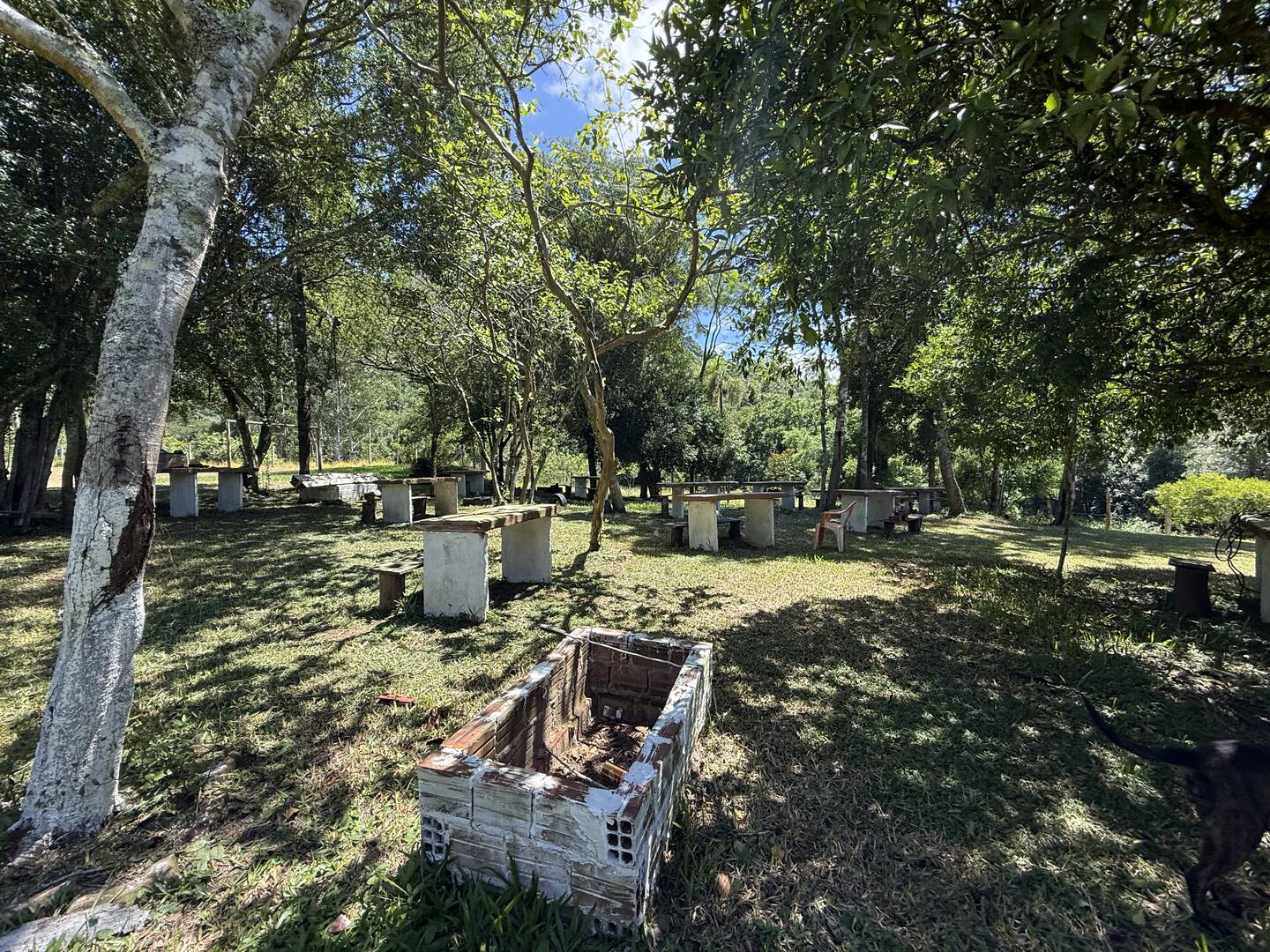 Sítio, 3 quartos, 3 m² - Foto 21