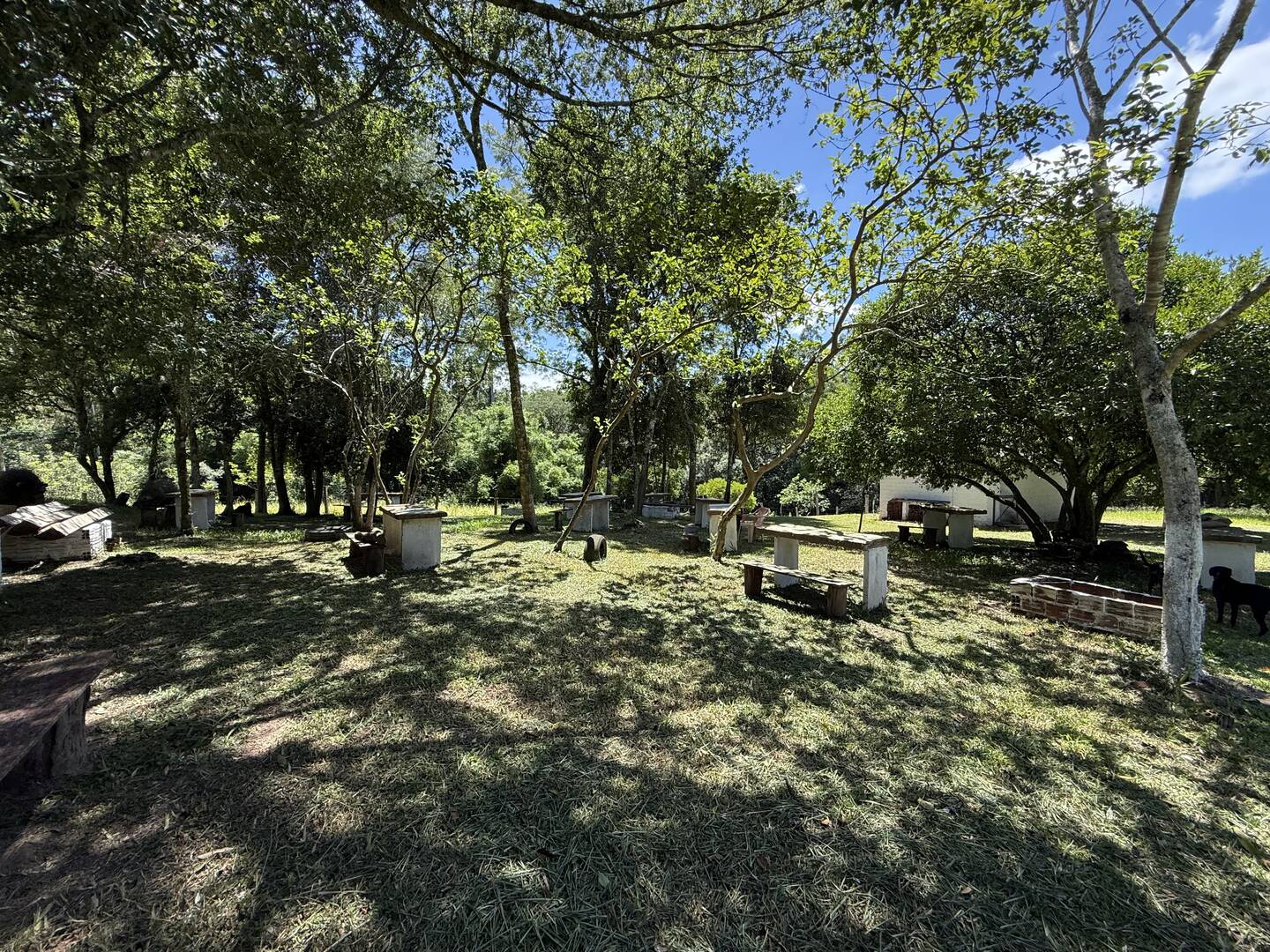 Sítio, 3 quartos, 3 m² - Foto 22