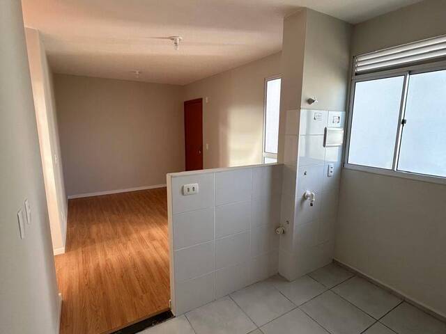 Apartamento para Venda em Sapucaia do Sul - 5